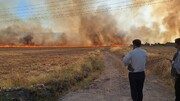 ۵۶ هکتار از مزارع و زمین‌های کشاورزی گیلانغرب در آتش سوخت