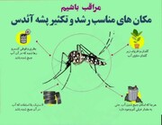 شمار بیماران شناسایی شده تب دانگ در بوشهر افزایش یافت