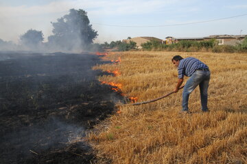 هشدار جهاد کشاورزی استان اردبیل نسبت به آتش زدن کاه و کلش مزارع