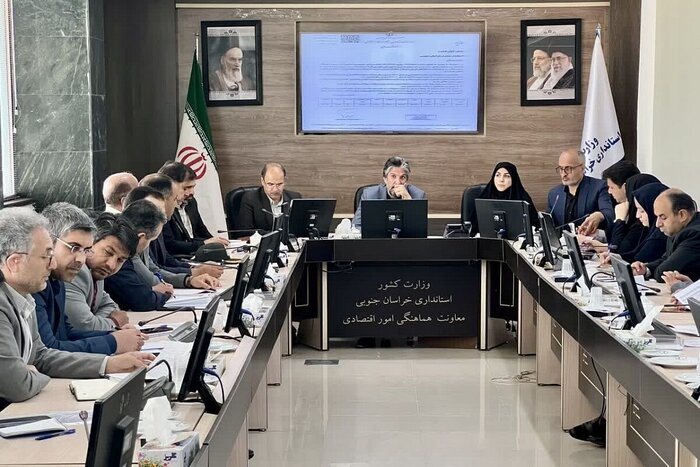 هزار و ۳۴۴ میلیارد ریال تسهیلات مشاغل خانگی به خراسان جنوبی اختصاص یافت