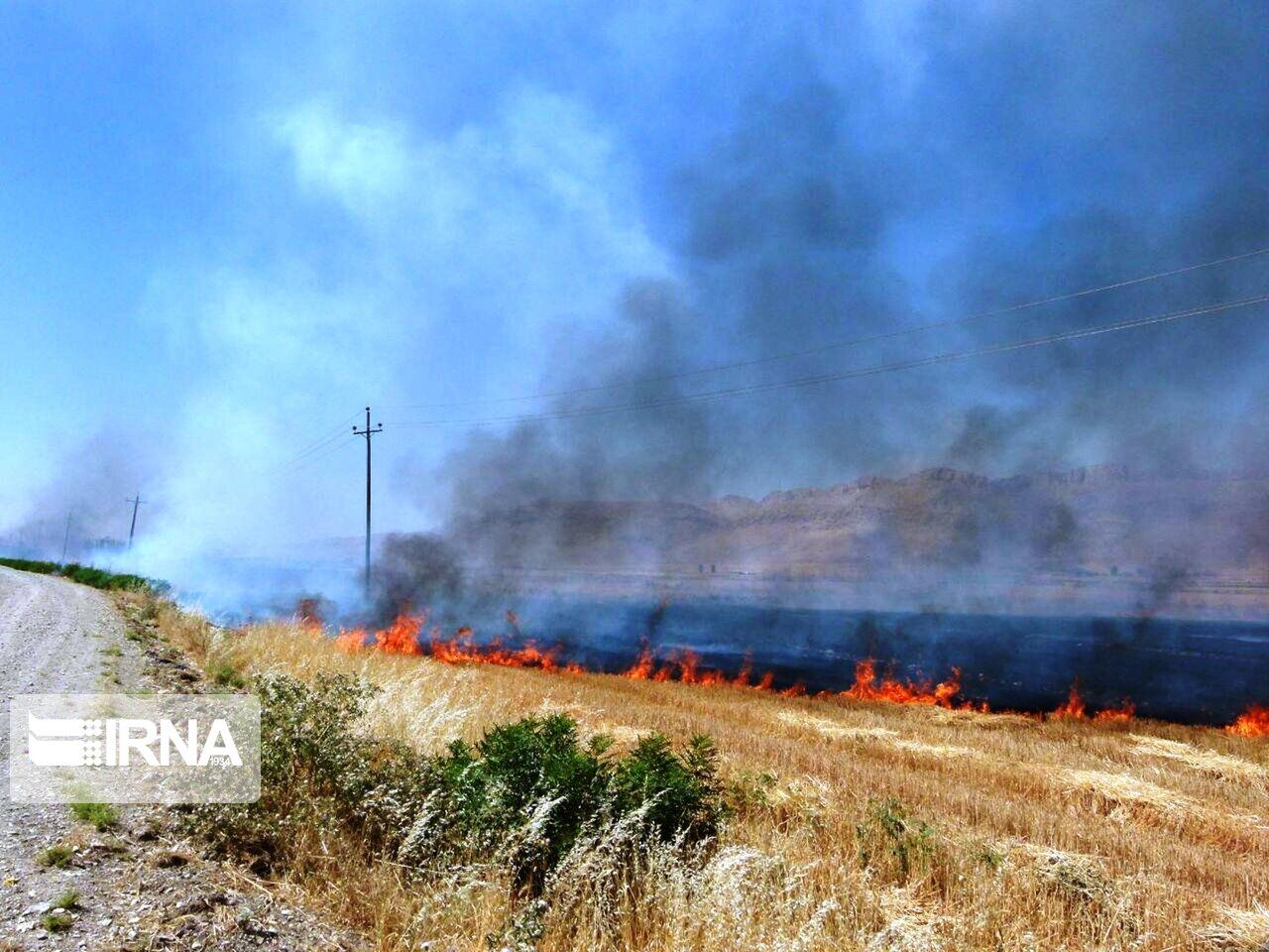 فرماندار آبدانان: حدود ۵۰ هکتار از مراتع و جنگل‌های "آب انار" گرفتار شعله‌های آتش است