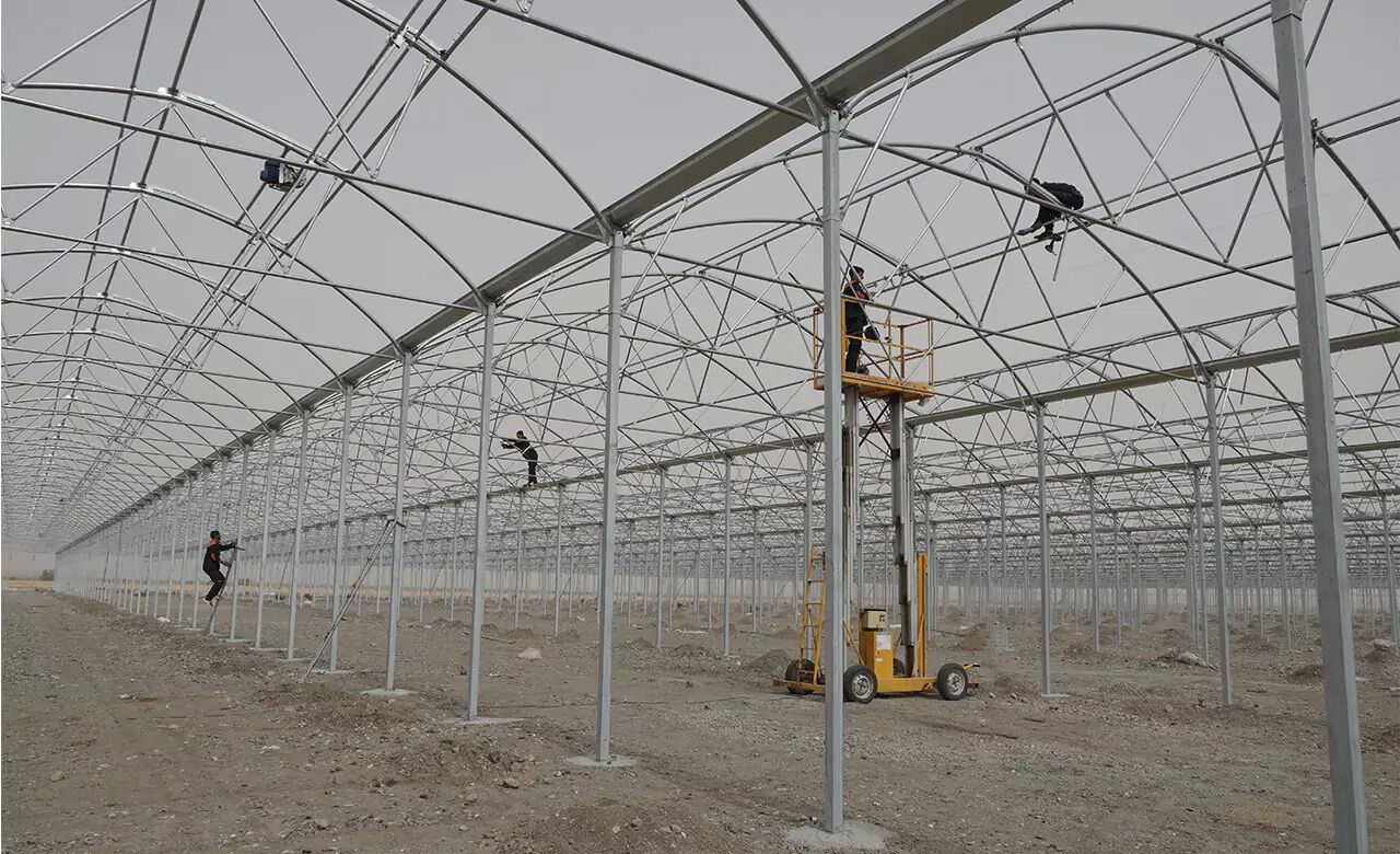 ساخت ۳۰۰ هکتار گلخانه جدید در آذربایجان شرقی ساخت ۳۰۰ هکتار گلخانه جدید در آذربایجان شرقی