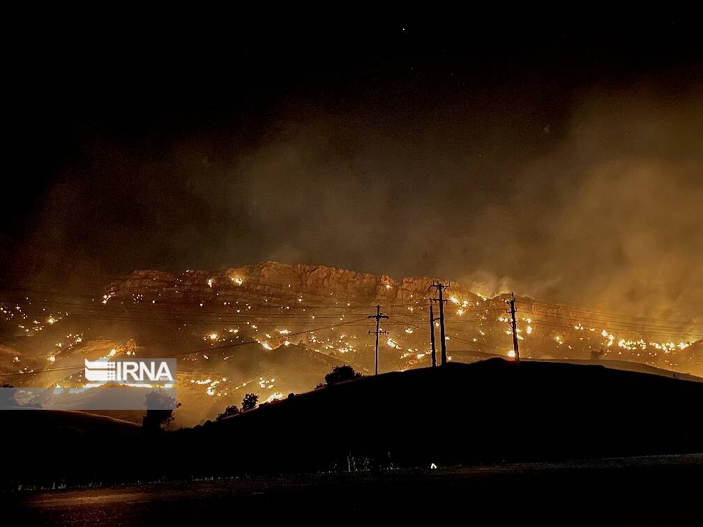 حفاظت از جنگل های بلوط زاگرس به سبک بنیادهای "اَلگن" و "زاگرس" حفاظت از جنگل های بلوط زاگرس به سبک بنیادهای "اَلگن" و "زاگرس"