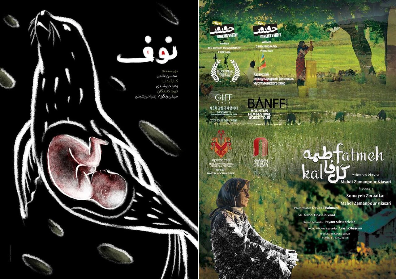 ۲ اثر هنرمندان مازندرانی نشان افتخار جشنواره فیلم بلغارستان را کسب کرد