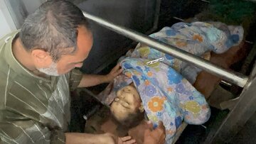 ۷ شهید و دهها زخمی در حمله اسرائیل به آوارگان فلسطینی + فیلم