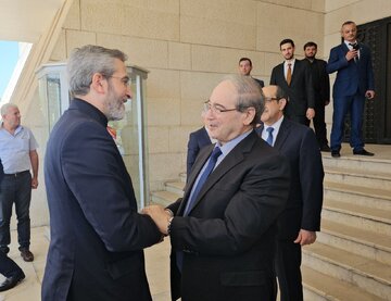 دیدار باقری‌کنی با وزیر امور خارجه سوریه