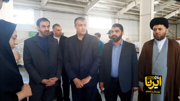 Le chef de l'Organisation de l'énergie atomique de l'Iran visite le système de rayonnement gamma inauguré au sud-ouest