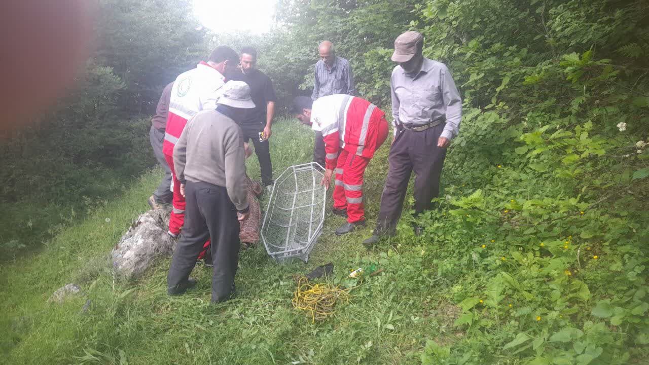 پایان جستجوی پنج ساعته برای نجات مرد ۵۰ ساله در جنگل ارسباران پایان جستجوی پنج ساعته برای نجات مرد ۵۰ ساله در جنگل ارسباران