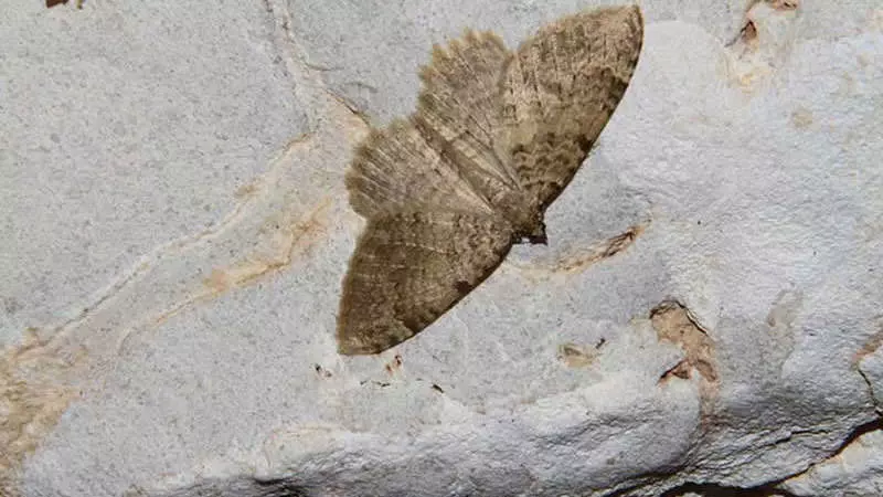 غار ده شیخ از شگفت انگیزترین ناشناختههای کهگیلویه و بویراحمد