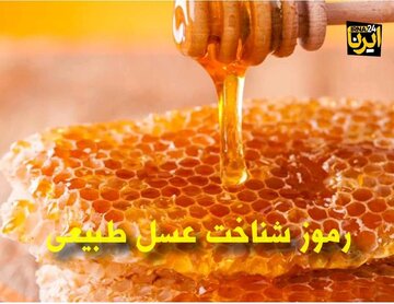 فیلم | چگونه عسل طبیعی را از تقلبی تشخیص دهیم