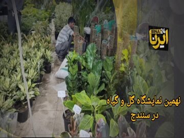 فیلم | حضور ۲۰ استان کشور در نمایشگاه گل و گیاه سنندج
