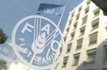 La FAO tiene en su agenda convertir a Irán en centro para la seguridad alimentaria en la región