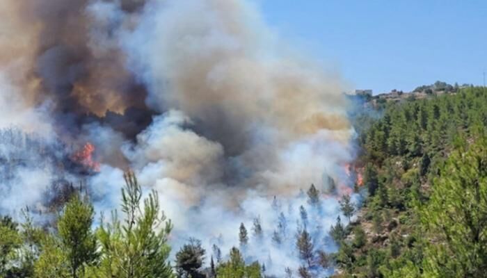 Los medios de comunicación sionistas examinan la magnitud del incendio en el norte de la Palestina ocupada