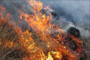 پایش  آتش‌سوزی منطقه جنگلی آب انار آبدانان بعد از مهار اولیه ادامه دارد