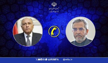 باقري يؤكد ضرورة استمرار الحوار بين إيران ومصر في اطار سياسات حكومة الشهيد رئيسي