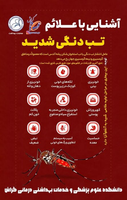 آخرین وضعیت بیماری «تب دنگی» در جنوب فارس