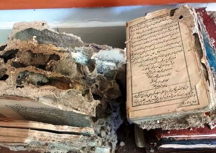 انتساب تصاویر کتاب‌های تاریخی آلوده به موریانه در استان سمنان تکذیب شد