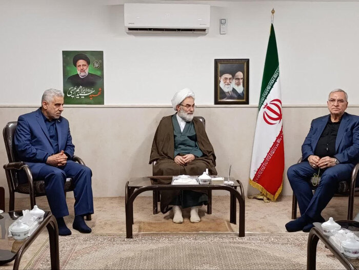 یک هزار تخت درمانی تا پایان دولت سیزدهم به بهره برداری می رسد