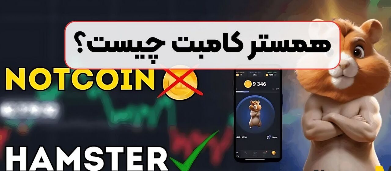 همسترکامبت چیست؟/ چرا پیام‌های joined to telegram  زیاد شده است؟