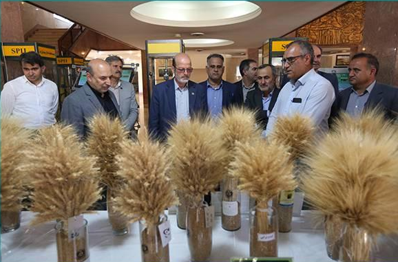 بررسی راهکارهای تحول در امنیت غذایی در نشست روسای جهاد دانشگاهی و تات