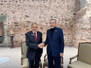 توسعه روابط تهران - اسلام‌آباد و مساله فلسطین، محور دیدار باقری و وزیر خارجه پاکستان