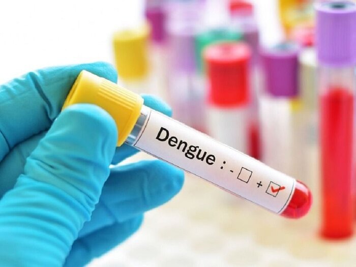 تعیین شعب ویژه رسیدگی به جرایم انتخاباتی/متناسبسازی حقوق بازنشستگان