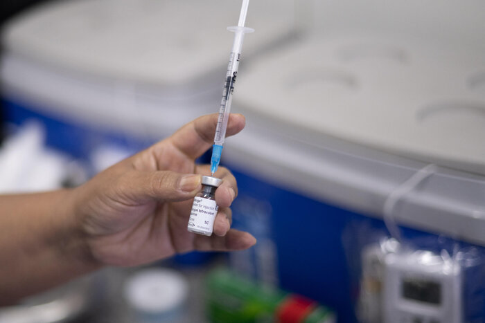 رکورد تب دنگی در قاره آمریکا؛ تداوم گسترش و محدودیت واکسیناسیون