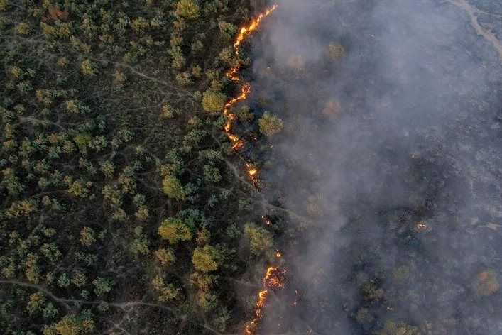 ۴۶ هکتار از جنگل‌های پارک ملی کرخه در آتش سوخت