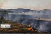 آتش مراتع مناطق شک‌میدان گیلانغرب را فرا گرفت