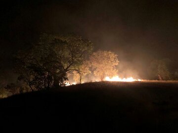 فرماندار: آتش سوزی منطقه بلبزان پاوه تحت کنترل است
