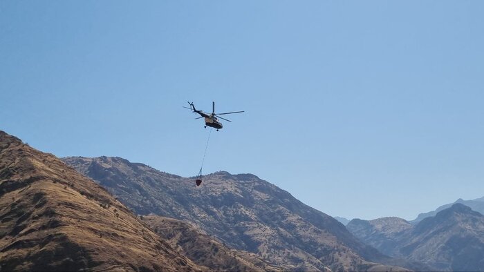 فرماندار: آتش سوزی منطقه بلبزان پاوه تحت کنترل است