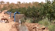 شدت گرما و دغدغه توزیع برق/مطالبه کشاورزان، کار سخت مدیران کرمان