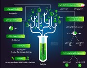 تمام ظرفیت داخلی زیست بوم نوآوری برای پاسخ به نیازمندی‌های ‌آینده‌ کشور استفاده می شود