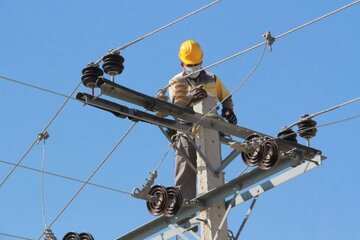 پرنده زدگی از دلایل ناپایداری شبکه برق در شهرستان خدابنده است