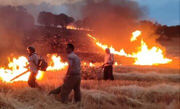 فیلم | آتش‌سوزی مزارع کشاورزی و مراتع مشجر گیلانغرب