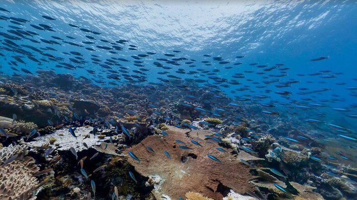 تدوین نقشه راه توسعه دریامحور در دولت سیزدهم