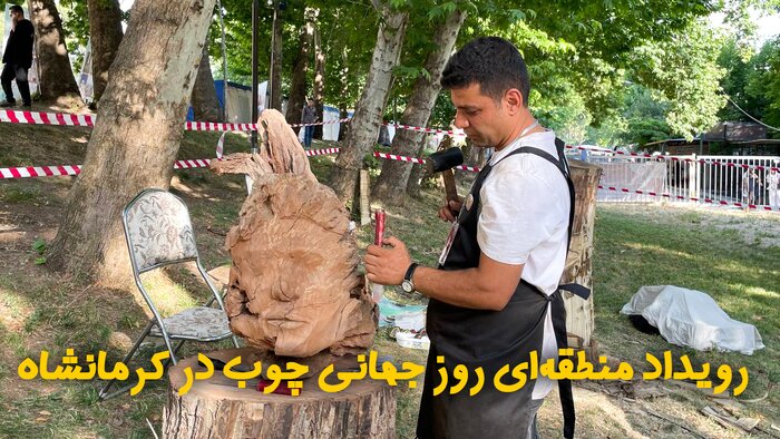 فیلم | رویداد منطقه‌ای روز جهانی چوب در کرمانشاه