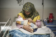 نوزاد عجول در جاده مهاباد - سردشت به دنیا آمد