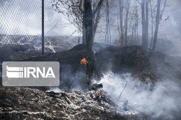یک هزار کیلومتر آتش بُر در اراضی ملی ایلام ایجاد شده است