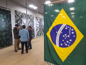 نمایش آثار ضدصهیونیستی هنرمند برزیلی بر دیوار موزه ملی انقلاب