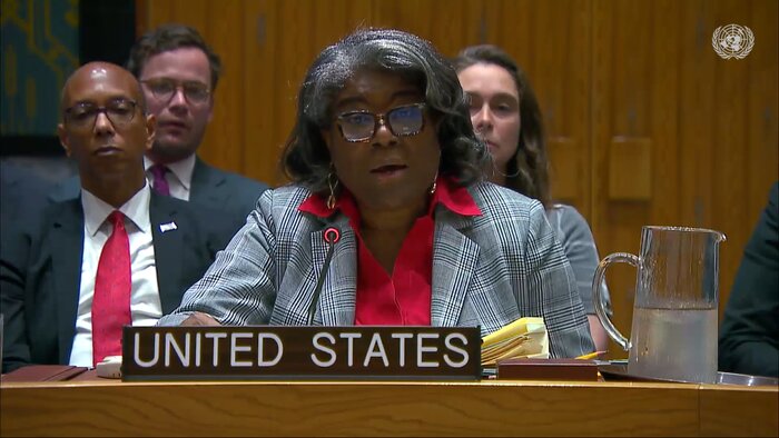 Several countries express sympathy with Gazans at UNSC