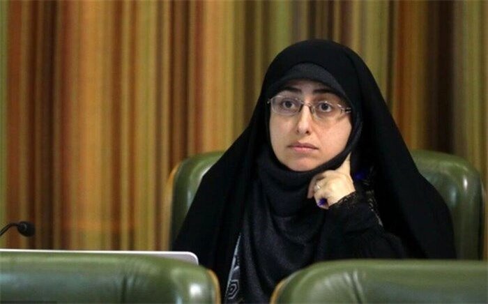 زنگ خطر افزایش موبایلقاپی در نطق عضو شورای شهر تهران