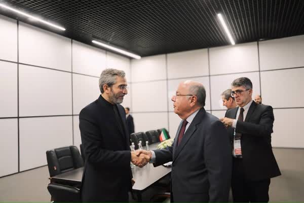 باقري: العلاقات بين إيران والبرازيل عميقة الجذور