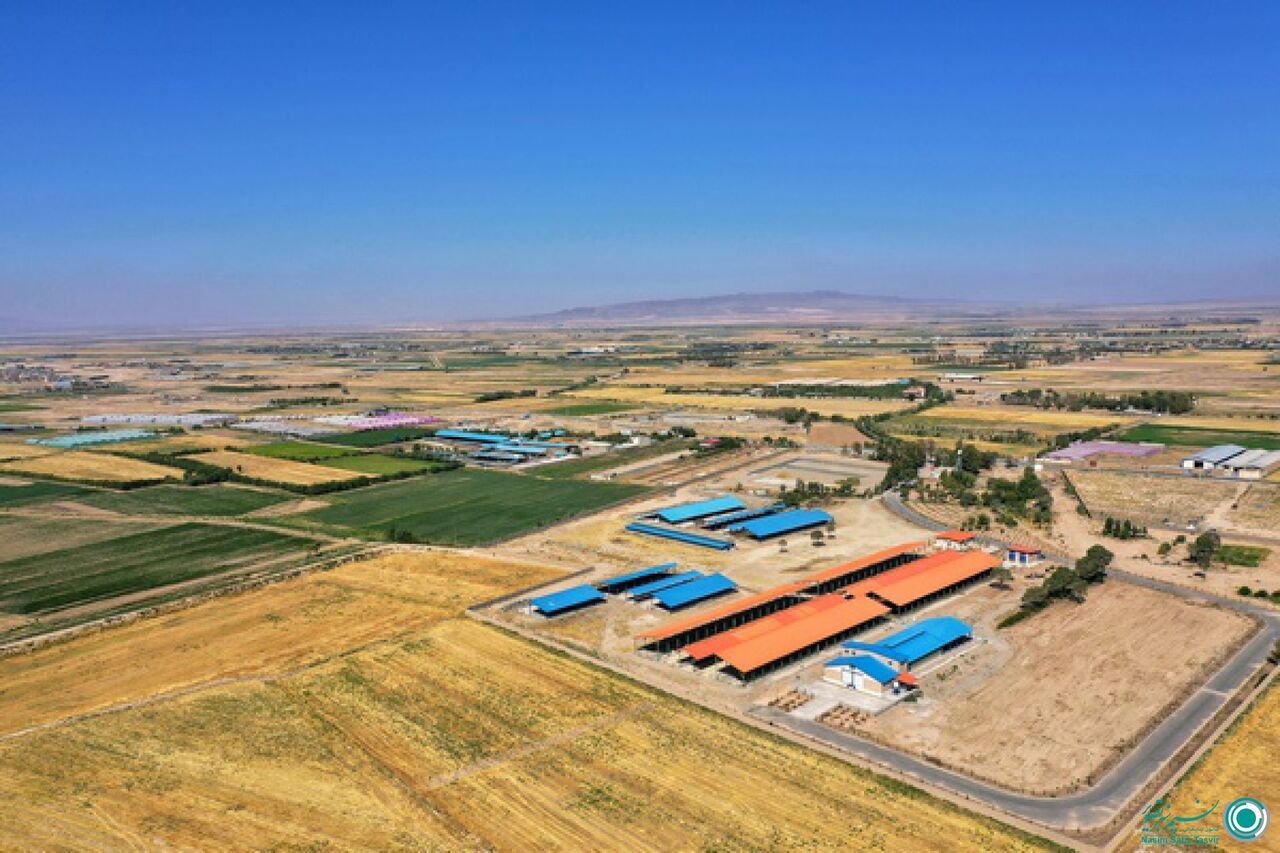 ایجاد کشت و صنعتها برای کشاورزان جنوب خوزستان در دستور کار است ایجاد کشت و صنعتها برای کشاورزان جنوب خوزستان در دستور کار است