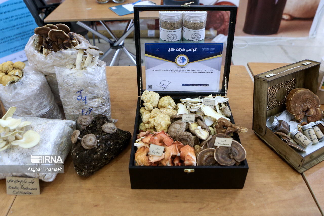 فناوریهای فرهنگی و نرم از پیشرانهای اساسی حضور مردم در اقتصاد کشور