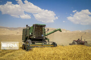 فیلم | خبر خوش دستگاه قضا به فعالان بخش کشاورزی مازندران چه بود؟