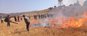 توضیحات منابع طبیعی فارس درباره آتش‌سوزی مزارع ممسنی