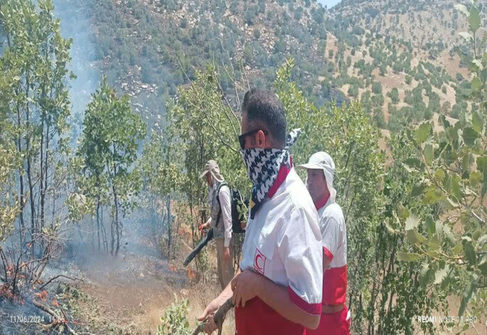 فیلم | حضور تیم‌های هلال احمر لرستان در مهار آتش سوزی مراتع کوهدشت