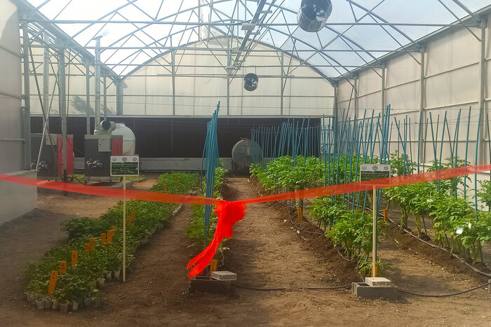 گلخانه تحقیقات سیب زمینی و سردخانه مرکز آموزش کشاورزی اردبیل افتتاح شد