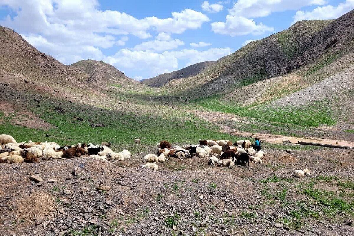 ۱۲۰ پروژه بخش کشاورزی خراسان جنوبی آماده افتتاح است